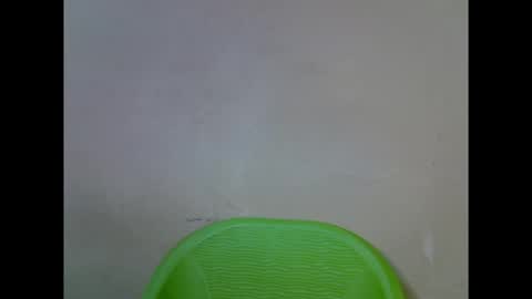 Snapshot of cherryxpussy chatting on September 26, 7:33 pm cherryxpussy online show from September 26, 7:33 pm