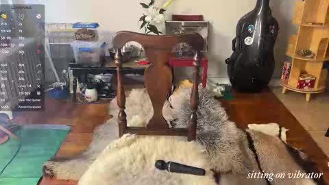 judith online show from November 4, 8:14 pm