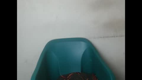 creamyxmuffin online show from September 15, 7:49 am