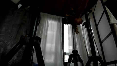 Julieta online show from December 21, 9:30 pm