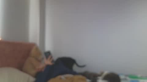 Snapshot of crystal_starx chatting on October 9, 8:02 pm Crystal Blaze online show from October 9, 8:02 pm