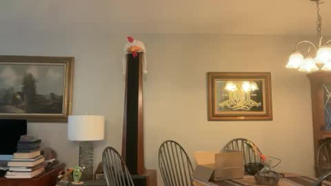 Daisy137 online show from September 18, 5:44 pm