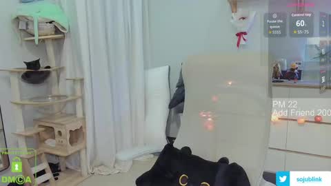 Daisy online show from March 24, 8:52 am