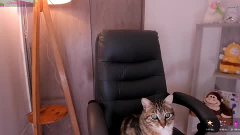 Danielle Rose online show from November 2, 8:23 pm