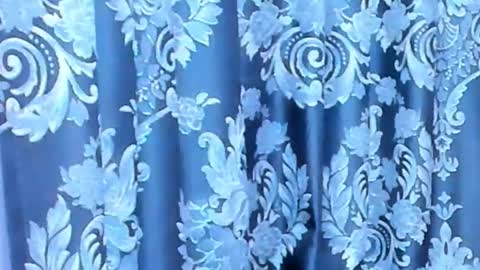 Dianna online show from February 5, 5:10 am