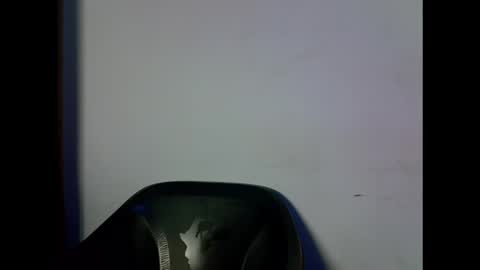 Snapshot of drippingpussy_ chatting on October 14, 1:41 am drippingpussy_ online show from October 14, 1:41 am