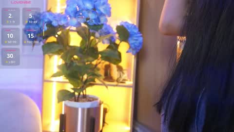 Elasummeer online show from December 2, 11:56 am