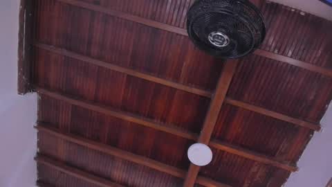 Emily  online show from February 3, 11:04 am