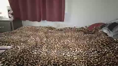 Snapshot of emilysparkss chatting on September 24, 3:05 am emilysparkss online show from September 24, 3:05 am