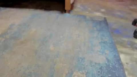 whises lits        online show from February 22, 12:19 pm