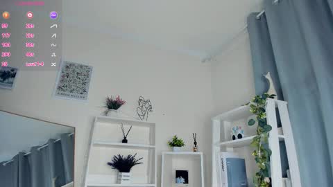 Sofia online show from February 25, 10:03 am