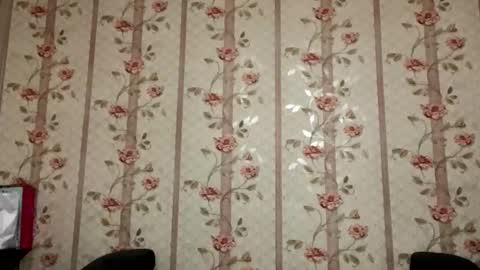 Kate online show from November 20, 2:40 pm