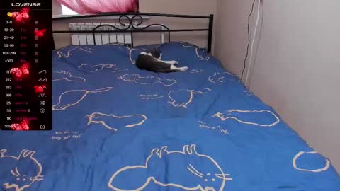 Eva online show from November 3, 11:14 am