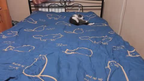 Eva online show from December 17, 3:05 pm