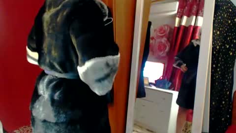 Snapshot of fetish_erotic_club chatting on February 11, 11:12 pm pregnant hairyc2cbigboobs mature online show from February 11, 11:12 pm