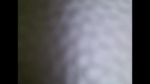 Tiff online show from November 24, 7:10 am