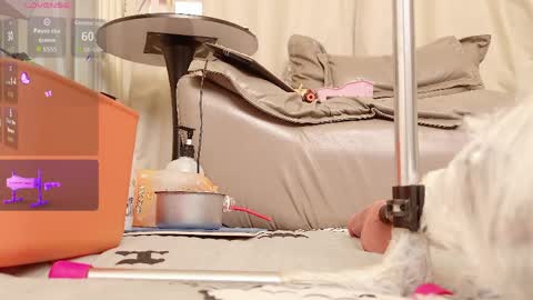 yiyi online show from April 14, 8:03 am