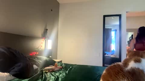 foxyladysback923 online show from September 20, 11:36 pm