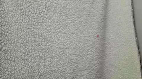 fu338208 online show from March 12, 4:41 am