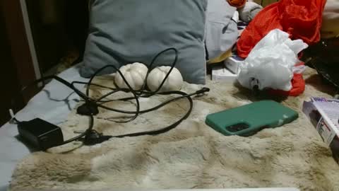 Aries69 online show from October 4, 4:40 am