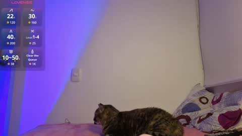 genet_ online show from January 17, 11:23 pm