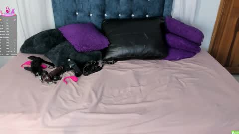 pamela online show from November 14, 3:17 am