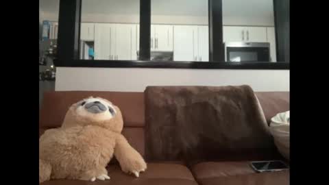 Snapshot of globberton chatting on February 10, 6:03 pm Baby Bimbo online show from February 10, 6:03 pm