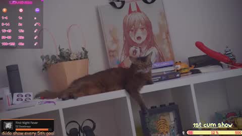  Sasha  online show from February 17, 4:06 pm