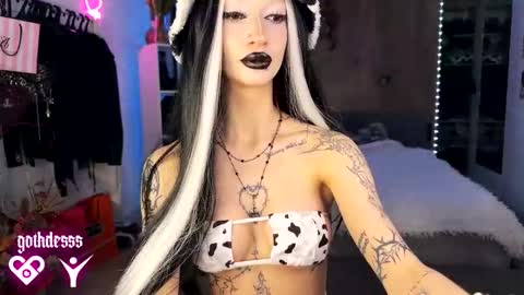    online show from February 16, 2:11 am