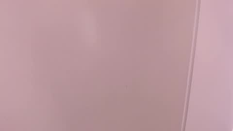 Hadid online show from February 3, 7:07 pm