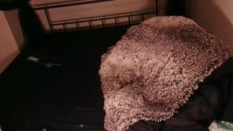 HailWilds online show from February 14, 3:00 am