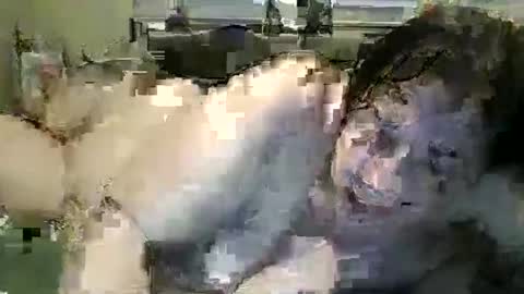 hazelbasil32728 online show from February 20, 2:07 pm