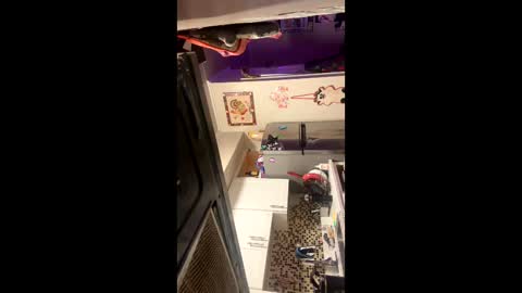 heatskii online show from November 1, 4:38 am