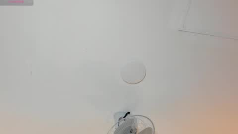 hilary_tailor online show from January 12, 11:04 am