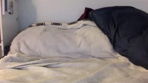 Snapshot of honeydewdomme chatting on February 6, 8:39 am Honeydew Domme online show from February 6, 8:39 am