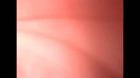 honeygirlox online show from November 27, 2:09 pm