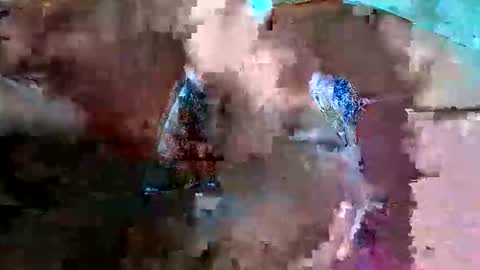 hornyjoygiver online show from May 14, 11:27 am