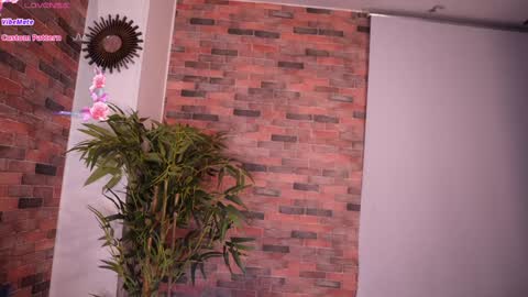 Lucy online show from January 24, 9:39 am