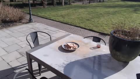 iamlovelykitty online show from March 7, 1:51 pm