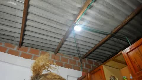 Isabela  online show from September 23, 7:06 am