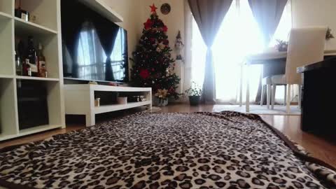 jaqueline88 online show from December 17, 7:01 am