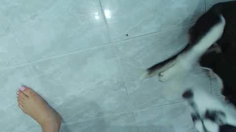 JESICA online show from December 4, 6:41 pm