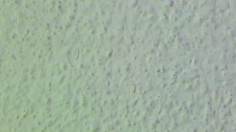 JESSY CORTES online show from March 10, 1:53 am