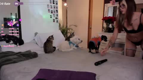 josephine   independent model    online show from January 26, 8:13 pm