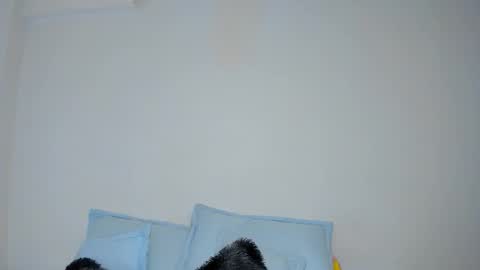 Julse  online show from October 31, 4:25 am