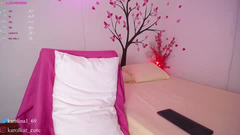 Snapshot of karolkat_1 chatting on February 1, 3:08 am Karolina 3 online show from February 1, 3:08 am