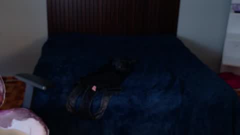 kate online show from September 20, 8:40 pm