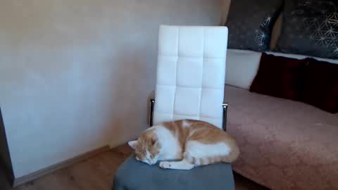 Kathy online show from October 1, 5:34 am