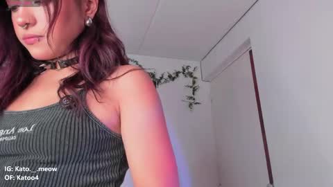 Kato online show from April 12, 6:38 am