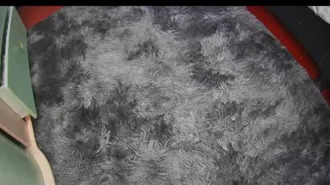 Keyla online show from April 12, 7:55 am